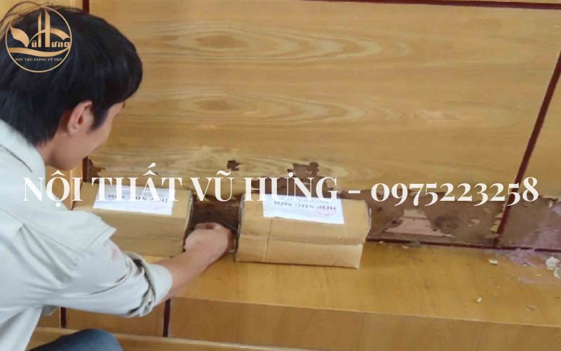 Top 9 cách chống mối mọt cho gỗ dễ thực hiện tại nhà