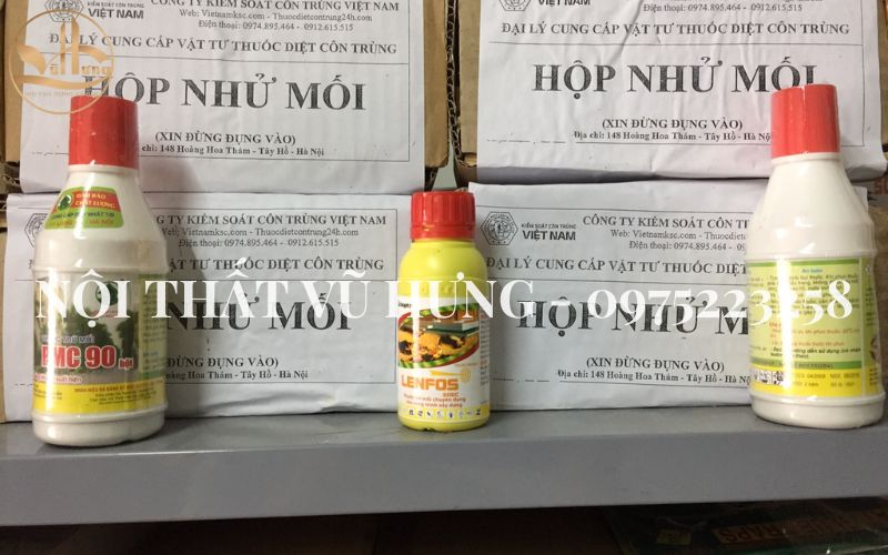 9 Mẹo Chống Mối Mọt Cho Gỗ Hiệu Quả Lên Đến 99%