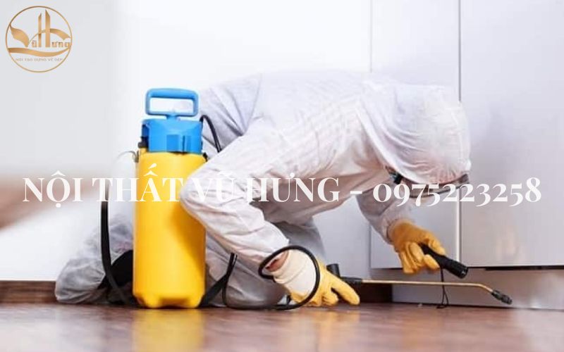 Top 9 cách chống mối mọt cho gỗ dễ thực hiện tại nhà