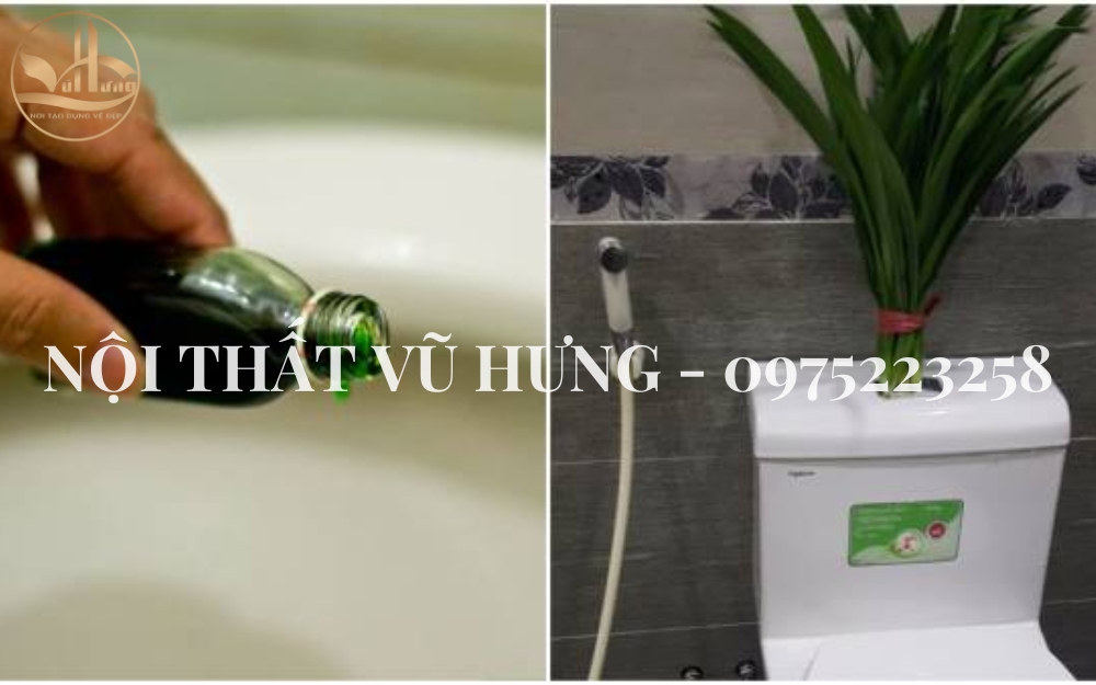 Bật Mí 8 Cách Làm Thơm Nhà Vệ Sinh Như Khách Sạn Mà  Không Tốn Nhiều Chi Phí