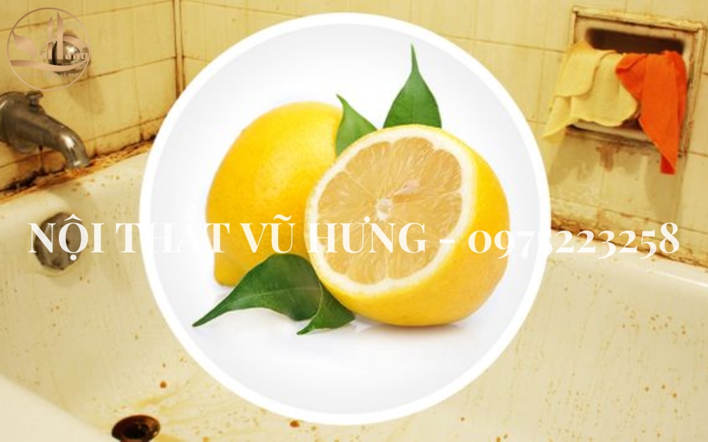Bật Mí 8 Cách Làm Thơm Nhà Vệ Sinh Như Khách Sạn Mà  Không Tốn Nhiều Chi Phí