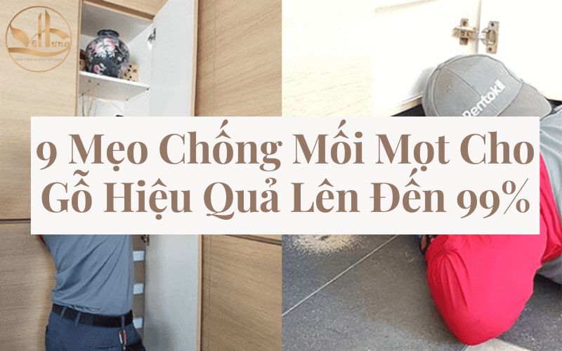 9 Mẹo Chống Mối Mọt Cho Gỗ Hiệu Quả Lên Đến 99%
