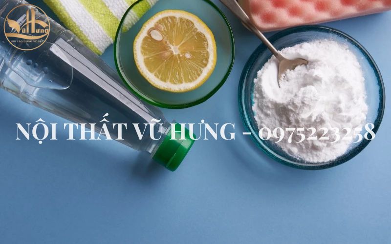 9 Mẹo Chống Mối Mọt Cho Gỗ Hiệu Quả Lên Đến 99%