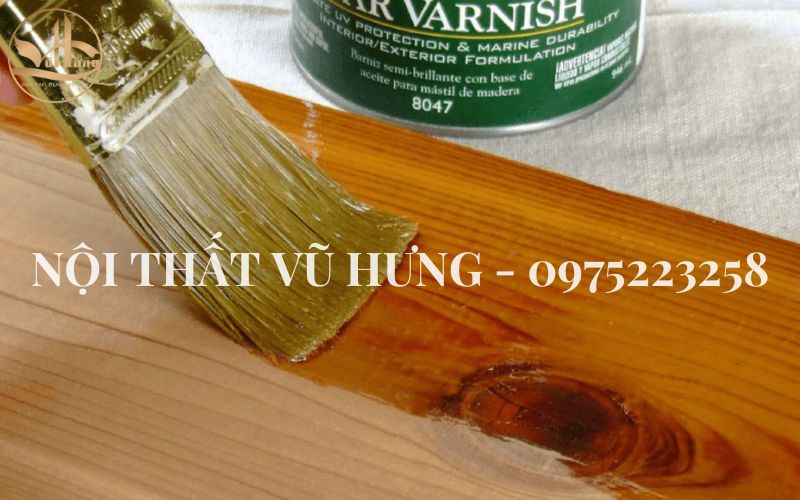 9 Mẹo Chống Mối Mọt Cho Gỗ Hiệu Quả Lên Đến 99%