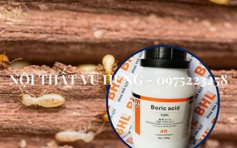 9 Mẹo Chống Mối Mọt Cho Gỗ Hiệu Quả Lên Đến 99%