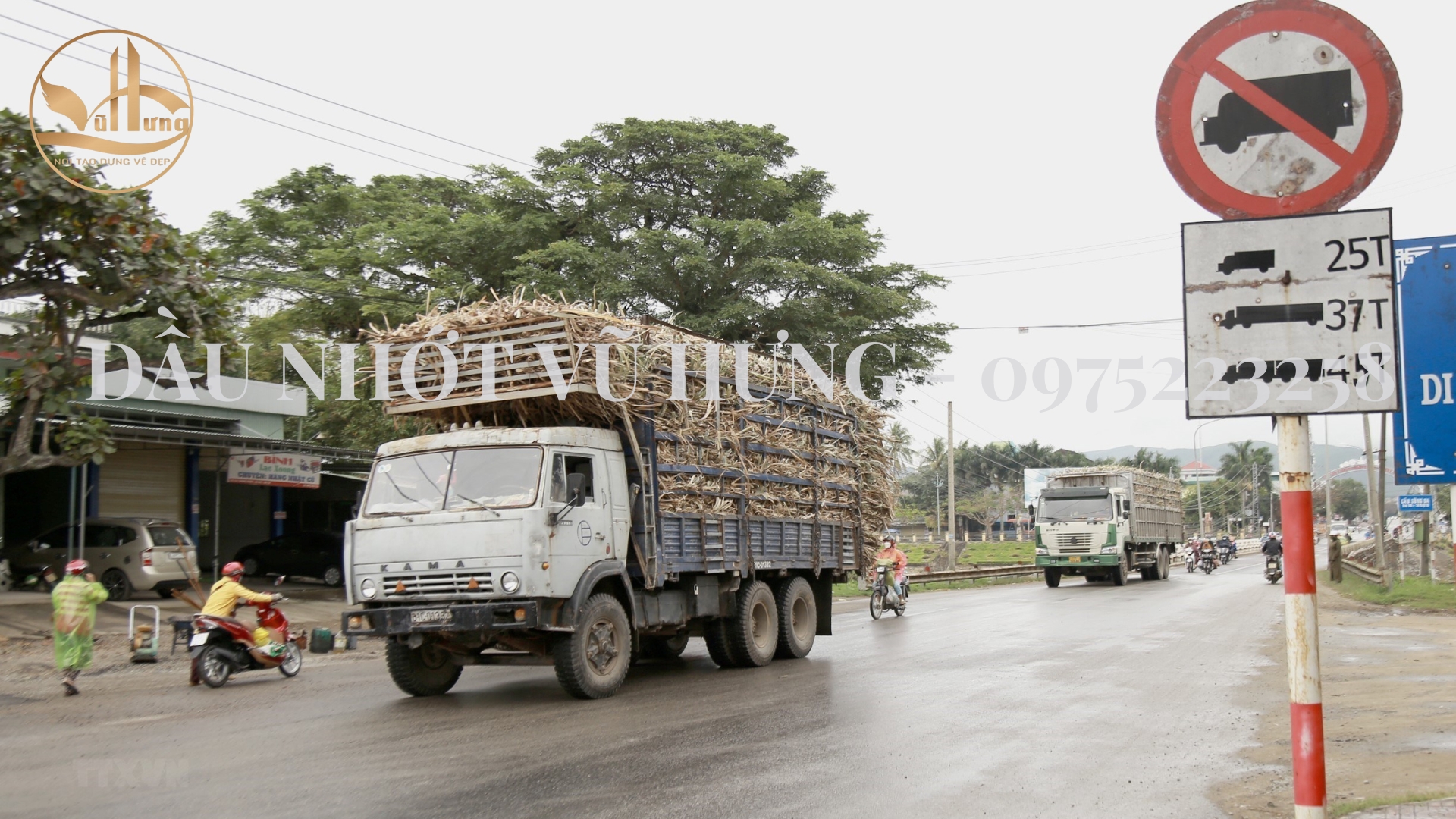 Nguyên xe ô tô bị hao nhớt